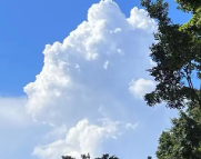 阿坝天气预报,阿坝7天天气预报,阿坝15天天气预报,阿坝天气查询